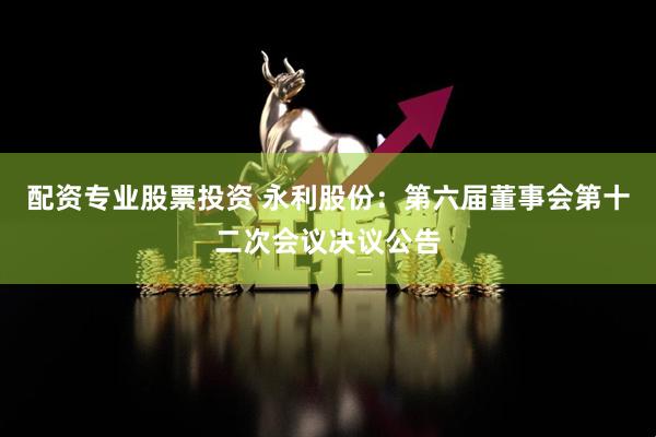 配资专业股票投资 永利股份：第六届董事会第十二次会议决议公告