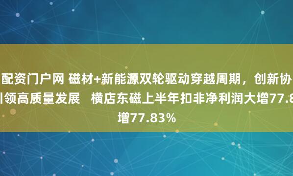 配资门户网 磁材+新能源双轮驱动穿越周期，创新协同引领高质量发展   横店东磁上半年扣非净利润大增77.83%