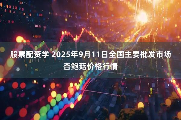 股票配资学 2025年9月11日全国主要批发市场杏鲍菇价格行情