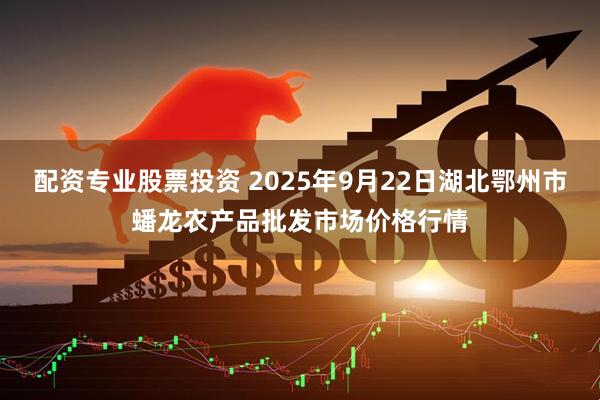 配资专业股票投资 2025年9月22日湖北鄂州市蟠龙农产品批发市场价格行情