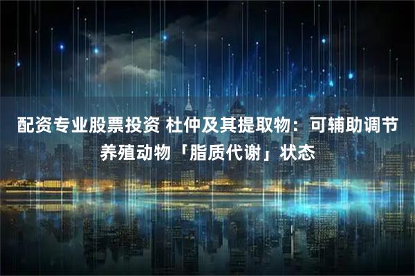 配资专业股票投资 杜仲及其提取物：可辅助调节养殖动物「脂质代谢」状态