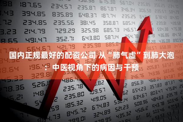 国内正规最好的配资公司 从“肺气虚”到肺大泡：中医视角下的病因与干预