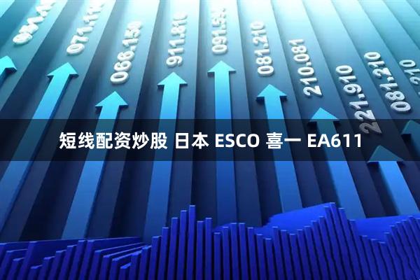 短线配资炒股 日本 ESCO 喜一 EA611